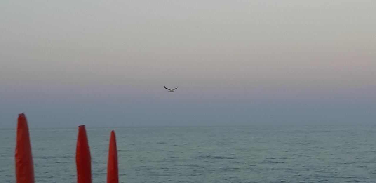 Voglia Di Mare... Holidays On The Beach Lejlighed Porto SantʼElpidio Eksteriør billede